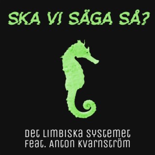 Ska vi säga så? ft. Anton Kvarnström lyrics | Boomplay Music