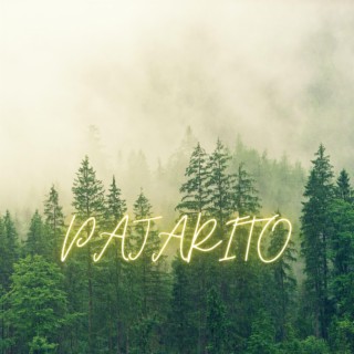 PAJARITO