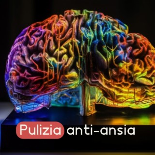 Pulizia anti-ansia: Smetti di pensare troppo, preoccupazioni e stress