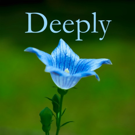 Deeply