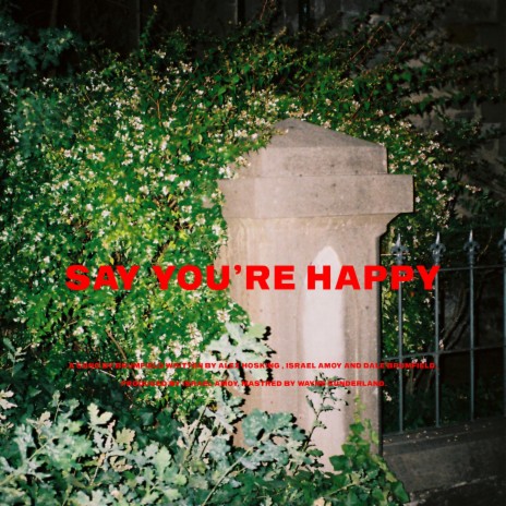 Say You're Happy | Boomplay Music