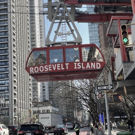 Roosevelt Island | Boomplay Music