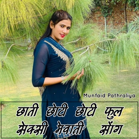Chhati Chhoti Chhoti Full Sexy Mewati | Boomplay Music