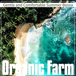 Gentle and Comfortable Summer Bossa