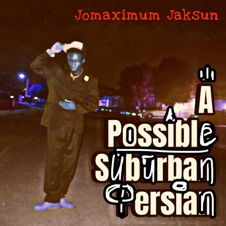 A Possible Suburban Persian. | Boomplay Music