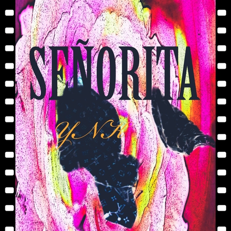 Señorita | Boomplay Music