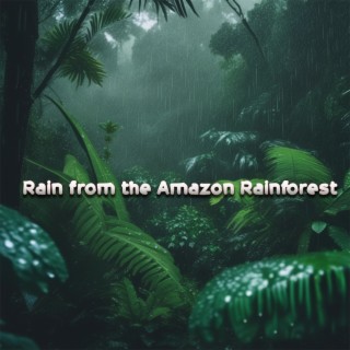 Rain from the Amazon Rainforest