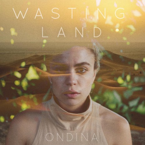Wasting Land | Boomplay Music