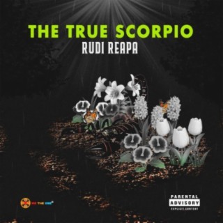 The True Scorpio