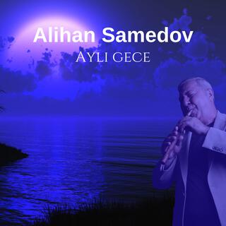 Aylı gece