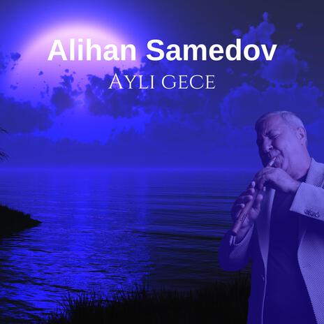 Aylı gece | Boomplay Music