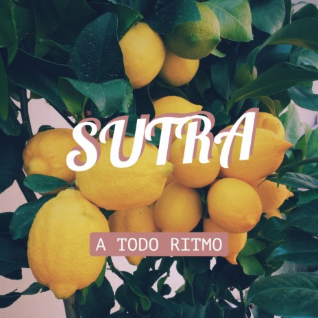 sutra | Boomplay Music
