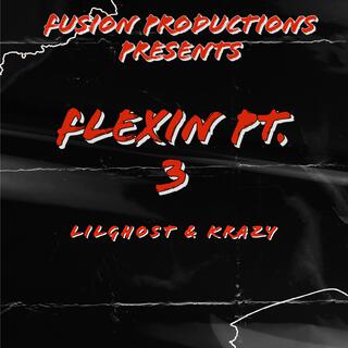 FLEXIN, Pt. 3 ft. LILGHOST & KRAZY lyrics | Boomplay Music