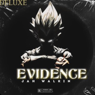 Evidence (Deluxe)