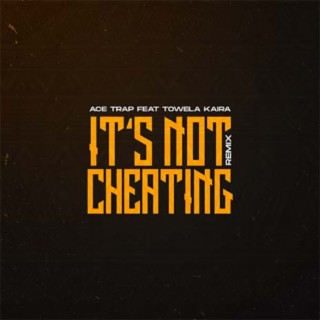 It's Not Cheating Remix