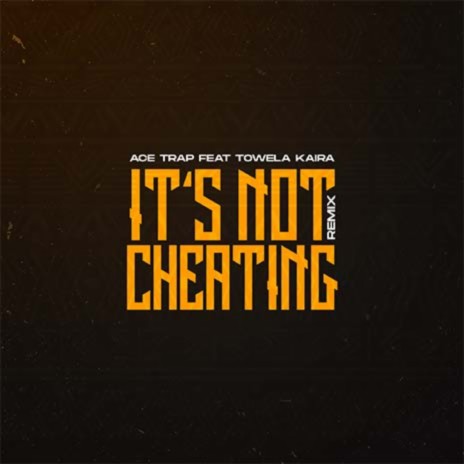 It's Not Cheating Remix | Boomplay Music