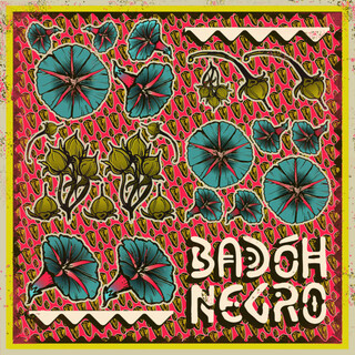 Badóh Negro