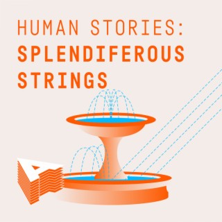 Human Stories - Splendiferous Strings