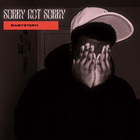 Sorry Not Sorry | Boomplay Music