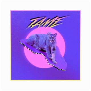 Tame lyrics | Boomplay Music