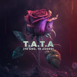 T.A.T.A (Te amo, te adoro) lyrics | Boomplay Music