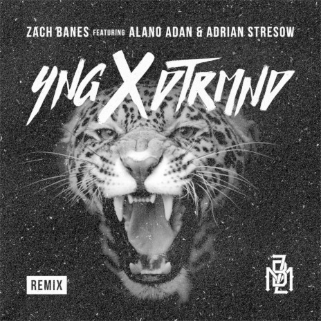 Yng X Dtrmnd (Remix) ft. Alano Adan & Adrian Stresow | Boomplay Music