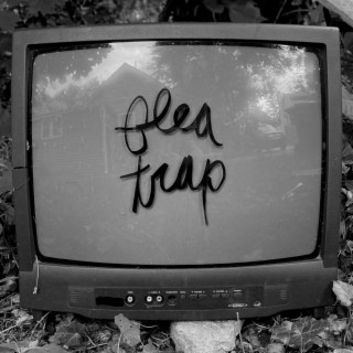 Flea Trap