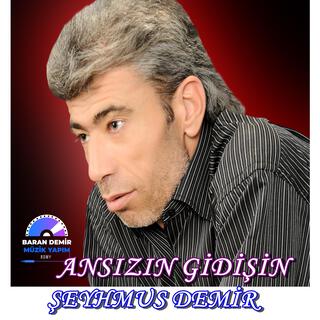 ANSIZIN GİDİŞİN