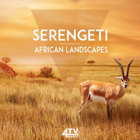 Serengeti Rain ft. Ryan Gold