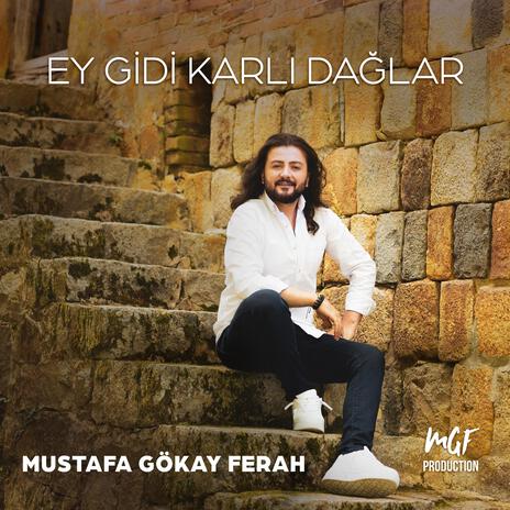 Ey Gidi Karlı Dağlar | Boomplay Music