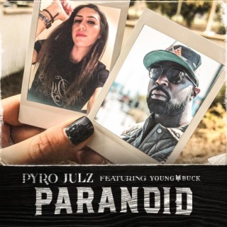 Paranoid ft. Young Buck lyrics | Boomplay Music