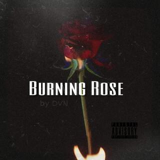 Burnning Rose