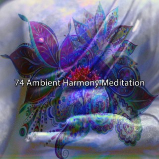 74 Méditation sur l'harmonie ambiante (2022 Inquiet pour rien Records)