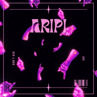 aripi / don't ask lyrics | Boomplay Music