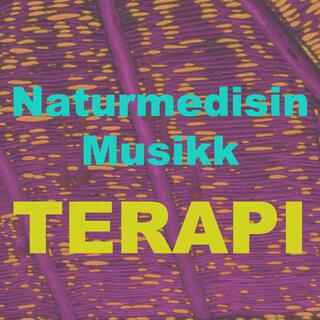 Naturmedisin Musikk