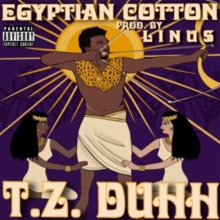 Egyptian Cotton