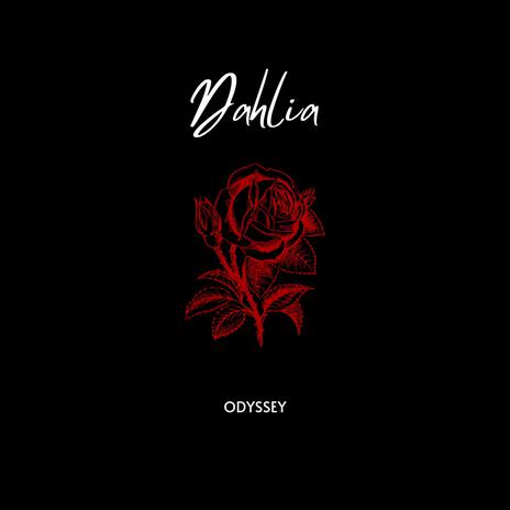 Dahlia | Boomplay Music