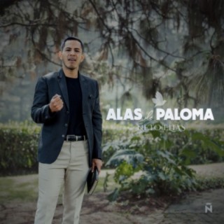 Alas de Paloma