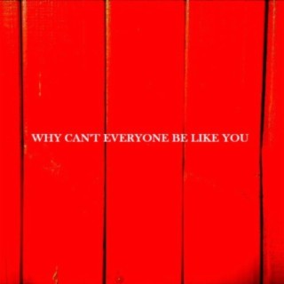 Why Can't Everyone Be Like You lyrics | Boomplay Music