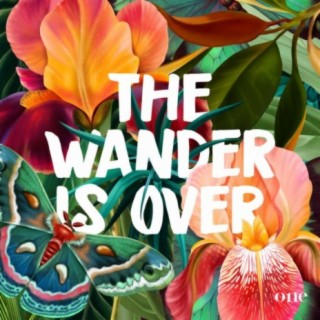 The Wander Is Over