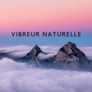Vibreur naturelle: Musique relaxante zen avec pluie, Vagues de l'océan, Oiseaux et vent