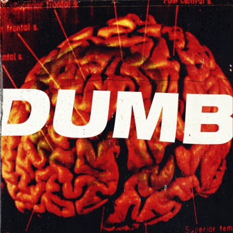 Dumb | Boomplay Music