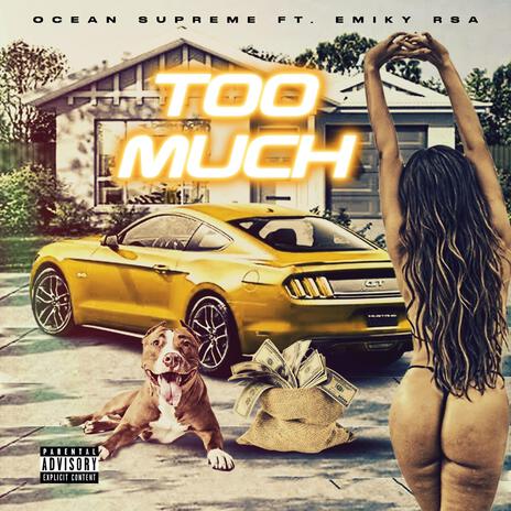 TOO MUCH ft. Emiky RSA | Boomplay Music