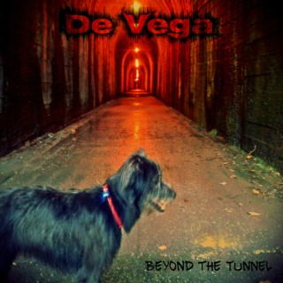 Beyond the Tunnel