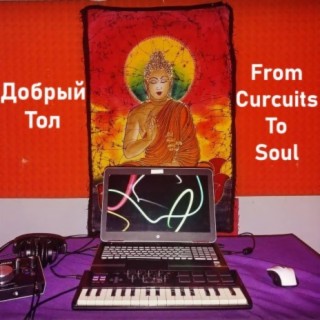 From Circuits to Soul