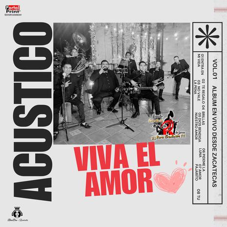 Amor Pajarito (Live) | Boomplay Music