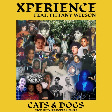 Cats & Dogs (feat. Tiffany Wilson) | Boomplay Music