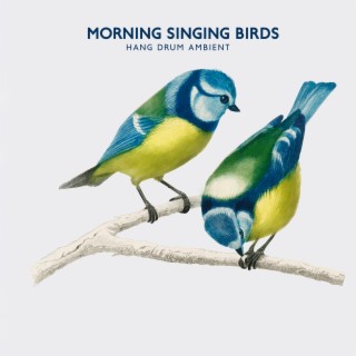 Morning Singing Birds: Hang Drum Ambient, Soothing Vibes of Nature for Relaxation and Calm Mind