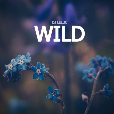 Wild (Remix) | Boomplay Music