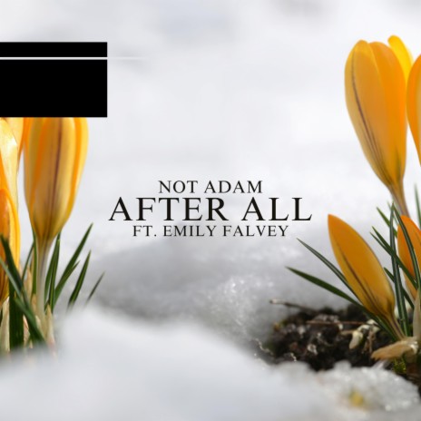 After All ft. Emily Falvey | Boomplay Music